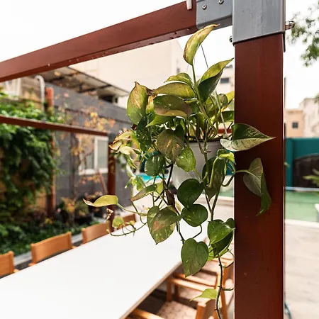 3 At Palazzo Seraphim Boutique Living In St Julians *